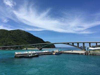 ウミガメに会いに阿嘉島へ