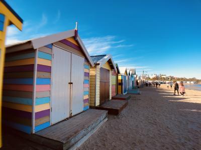 修行からめて メル&シド