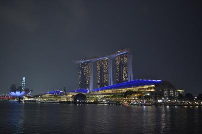 【ワンワールドで行くラウンジの鬼！東南アジア周遊旅行】(7-2)おまけのシンガポール～光のショー観光