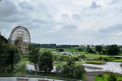 2019.8.21 島田醤油店+川の博物館、ＪＡ花園、蕎麦屋「原」、ＡＢＣマートｱｳﾄﾚｯﾄ店