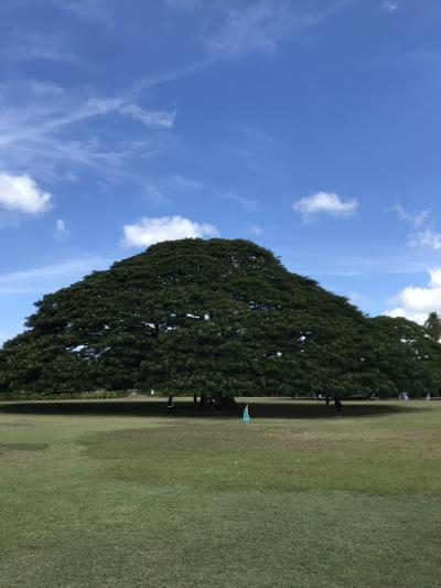 2019年 5歳 子連れハワイ旅行記 3泊5日 3世代旅行 その2