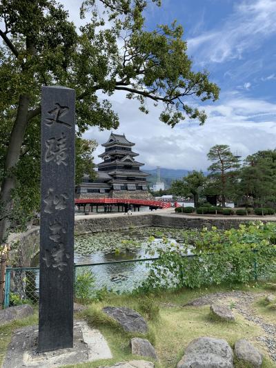 一人旅 立山黒部アルペンルート・松本・富山・金沢 ① バスで松本へ