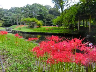 彼岸花咲く小石川後楽園と周辺散歩