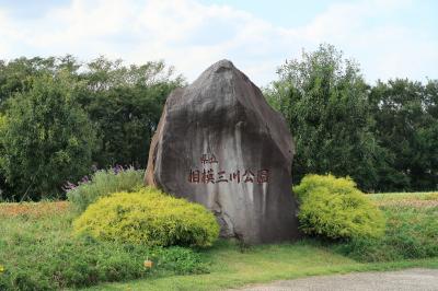 相模三川公園（神奈川県海老名市）へ・・・