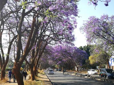 ハラレに関する旅行記・ブログ【フォートラベル】|ジンバブエ|Harare