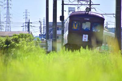 伊豆箱根鉄道大雄山線を走る旧型車両と沿線に広がる実りある秋の風景を探しに訪れてみた