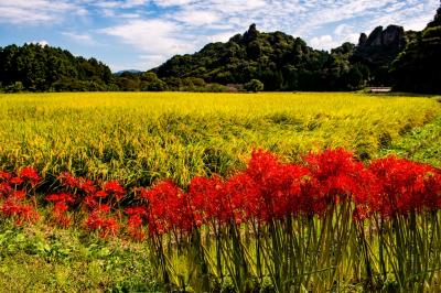 風の郷公園と田染荘　2019