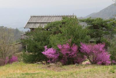 2018春、岡山の日本百名城(8/13)：鬼ノ城(8)：礎石建物、倉庫群、管理棟、角楼跡