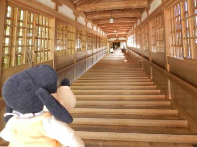 グーちゃん、福井へ行く！（永平寺/河岸段丘の先にあるものは？？編）