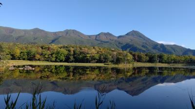 5泊6日道東旅行③：熊と高波と知床五湖、カムイワッカ湯の滝