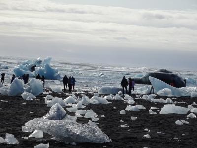 アイスランド1周ドライブ旅行　Ⅴ　ヨークルサルロン氷河湖