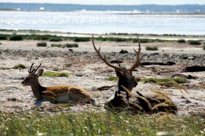 初秋のひがし北海道旅2泊3日（2日目：野付半島・トドワラ）