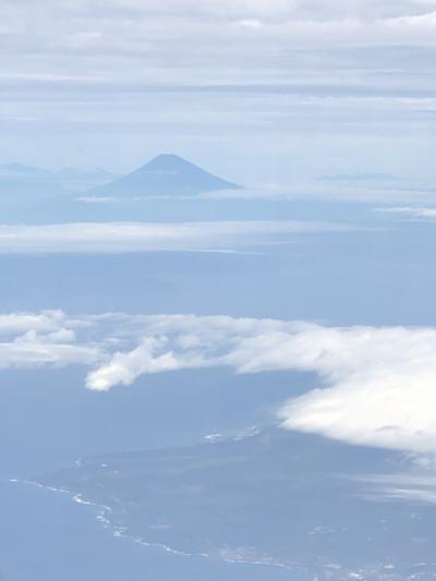 沖縄→宮崎羽田空港ホテルリリーフプレミアム宮崎観光ホテル宮崎鷄焼とさか　札幌海天丸　