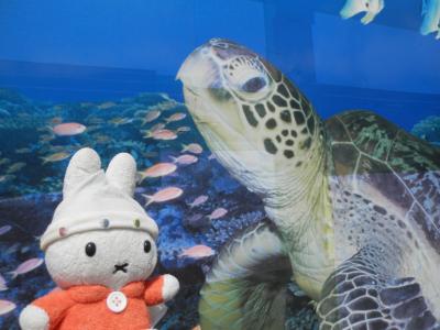 グーちゃん、福井へ行く！（越前松島水族館でアレのアレを見た！編）