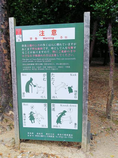 バスや近鉄で行く関西への旅～1日目奈良