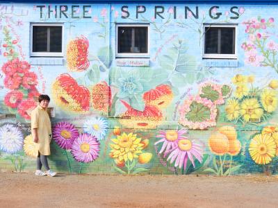 ワイルドフラワー咲く西オーストラリア9日間　その２（コールシーム自然保護区、エバーラスティング街道）