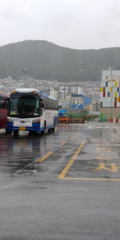 嵐の弾丸韓国旅行2019②～釜山
