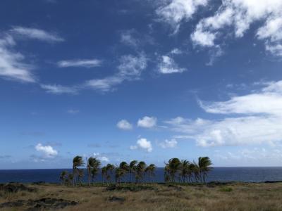 2019年9月 大人4人の詰め込みハワイ島 ⑤チェーンオブクレーターズロード