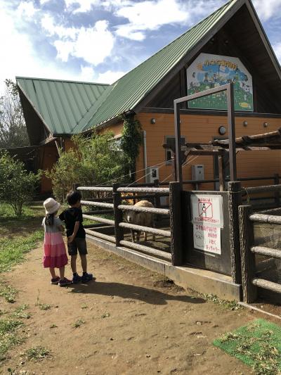 夫婦&amp;5歳男児と友人家族との週末茨城小旅行 - 2日目