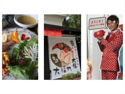 2019お盆休み 子供&ママ9名 伊豆旅行～２日目ステキなペンションアースルーフさんとめんたいパーク
