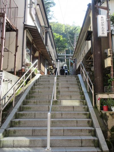 初めての伊香保温泉　その２、石段街と岸権旅館