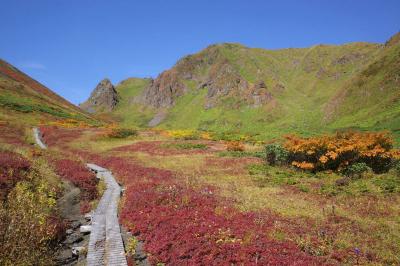 紅葉の秋田駒ヶ岳～乳頭山　電車・バス利用登山