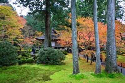 紅葉に染まる山里・京都大原の天台寺院巡拝記《Part.2》～三千院門跡・寂光院編～