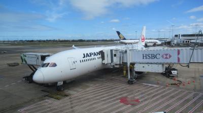 JAL772便でシドニーから成田に帰ります。