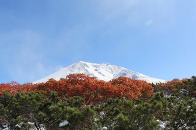 紅葉と初冠雪の旭岳