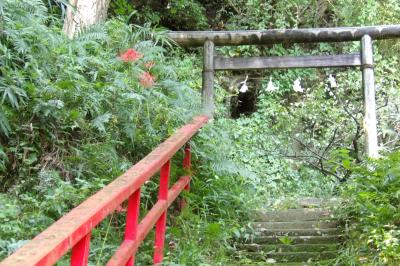 青梅聖天社の彼岸花－2019年秋