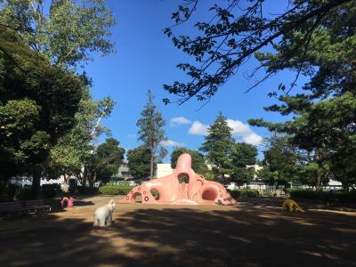 たこ公園の旅③　2019.09・10