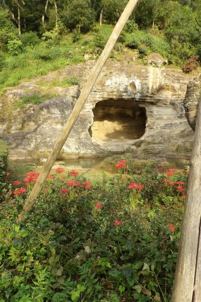 瑞泉寺庭園と徧界一覧亭