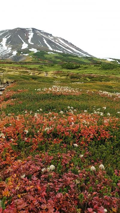 大雪エリア紅葉トレッキング