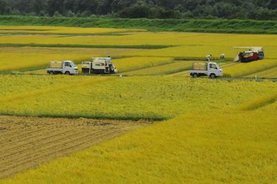 奥会津の秘湯「玉梨温泉」と上越・只見線の鉄道旅～南魚沼は稲刈り真っ最中～（新潟・福島）