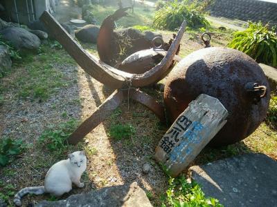 伊豆の国市と戸田の宿　その2