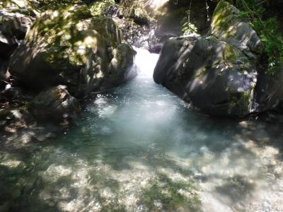 倉沢谷本谷　暑い日は適度に泳げる沢登りへ