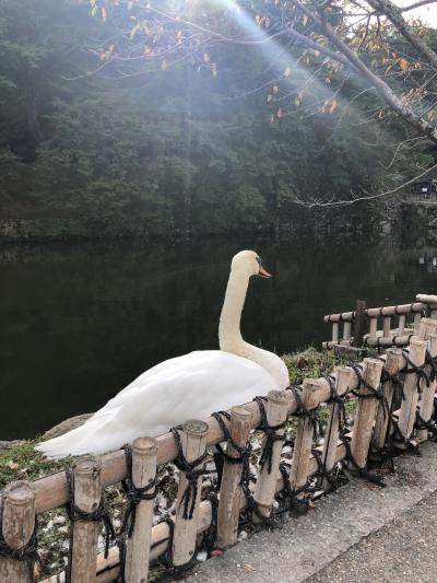 2019夏休み：北陸ツアー（１日目：彦根城）