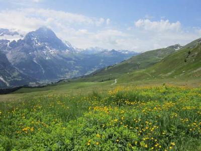 2019・シャモニー、サースフェーで山歩き、ちょっとイタリアで街歩き(その10、グリンデルワルトへ)