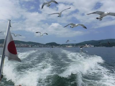 ダイヤモンドプリンセスで夏の北海道へGO☆⑤小樽でカモメに遊んでもらう