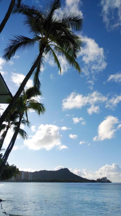 フライングホヌ・ファーストクラスで行くハワイ2019　⑤