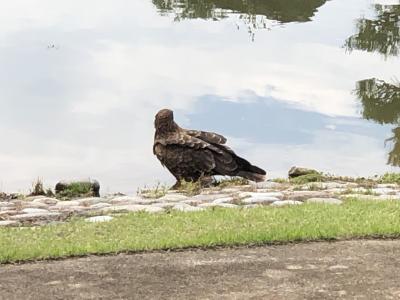 2019夏休み：北陸ツアー（４日目）