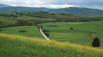 春のイタリア旅行2019-4 オルチャ渓谷 その1（モンテプルチャーノからピエンツァへ）