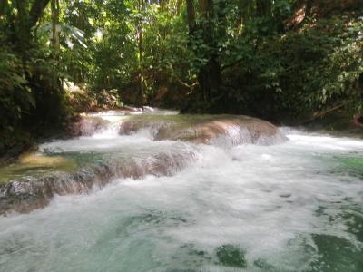 ジャマイカ ウエストモアランド再び(Mayfield Falls, Westmoreland, Jamaica)