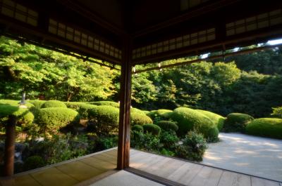 京都東山を散策する日帰り旅、秋晴れの午後に詩仙堂、曼殊院、圓光寺、金戒光明寺を周遊…