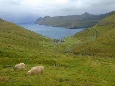 自然に癒されるフェロー諸島1人旅 ②　Saksun, Tj&#248;rnuv&#237;k, Gj&#243;gv 