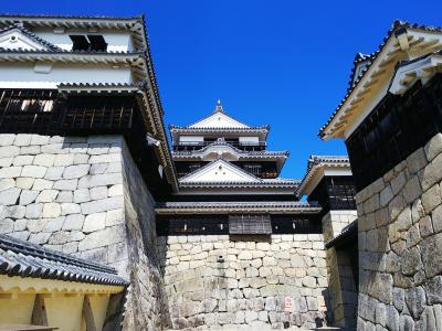 四国旅2～3日目〈温泉！お城！動物園！好天に恵まれたツケは、最後の最後にやって来た〉