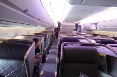 シンガポール航空Ａ359、ビジネスクラスで南アフリカ、個人手配の気ままな旅行、シンガポールからヨハネスブルグ
