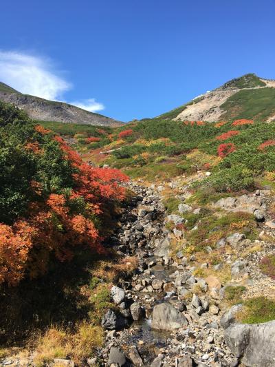 ②松本散策と乗鞍の紅葉