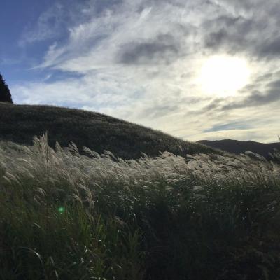 憧れの富士山 お目にかかれて光栄です その弐