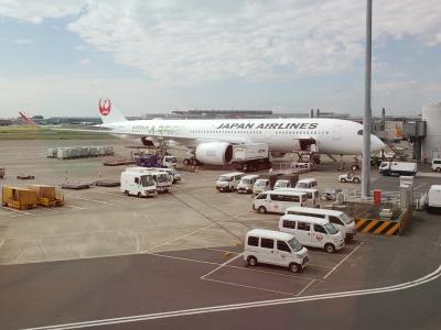 A350に乗ろう！